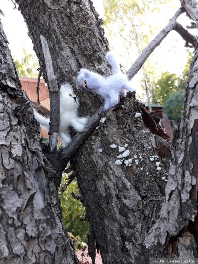 Котики"обормотики" — Вязаные игрушки и амигуруми: крючком (фото 8)