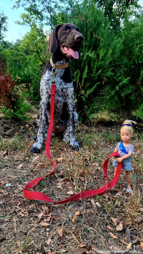 Кукла с собой — Игровые куклы разных производителей (Разное): редкие бренды