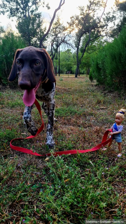 Кукла с собой — Игровые куклы разных производителей (Разное): редкие бренды