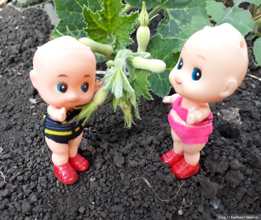 Лысики на пикнике — Игровые мини (фото 10)