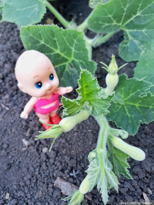 Лысики на пикнике — Игровые мини (фото 9)