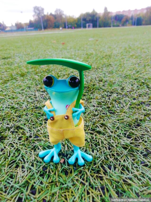 Apo frogs Маркус. Осенние денечки