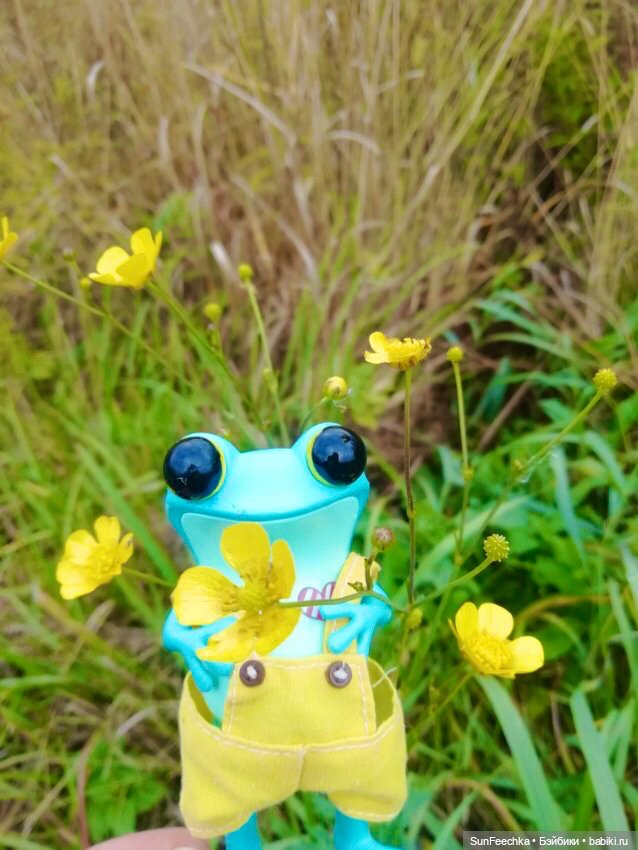 Apo frogs Маркус. Осенние денечки (фото 8)