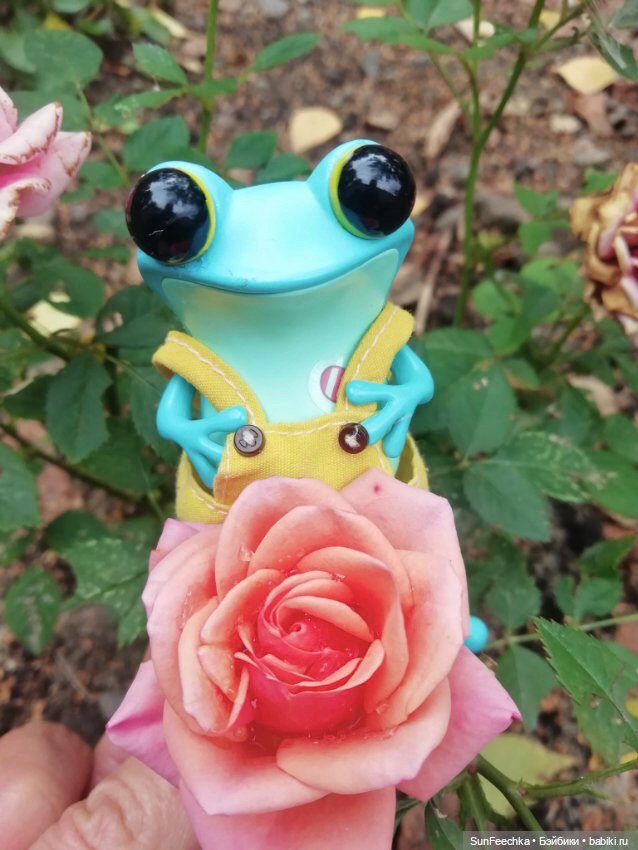 Apo frogs Маркус. Осенние денечки (фото 10)