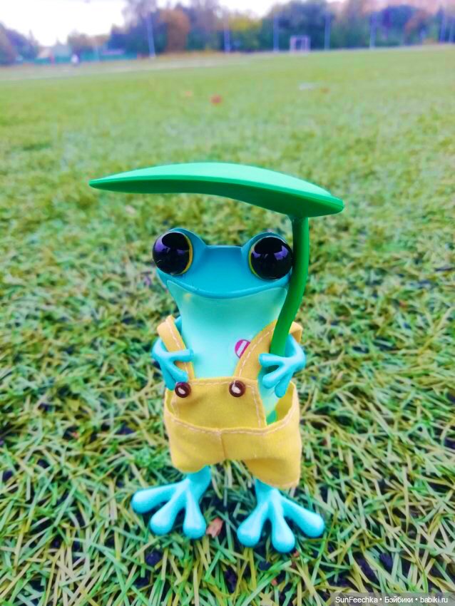 Apo frogs Маркус. Осенние денечки (фото 7)