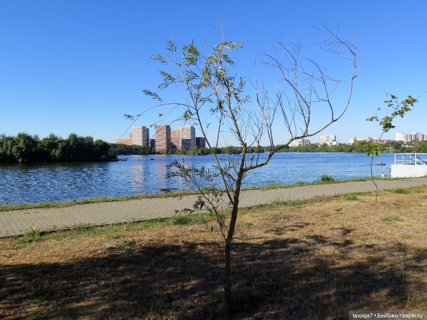 Зайка Мята и сентябрь — Авторские текстильные куклы: Вальдорфские