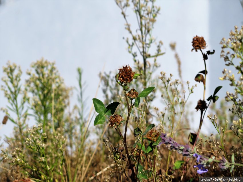 Зайка Мята и сентябрь — Авторские текстильные куклы: Вальдорфские (фото 8)