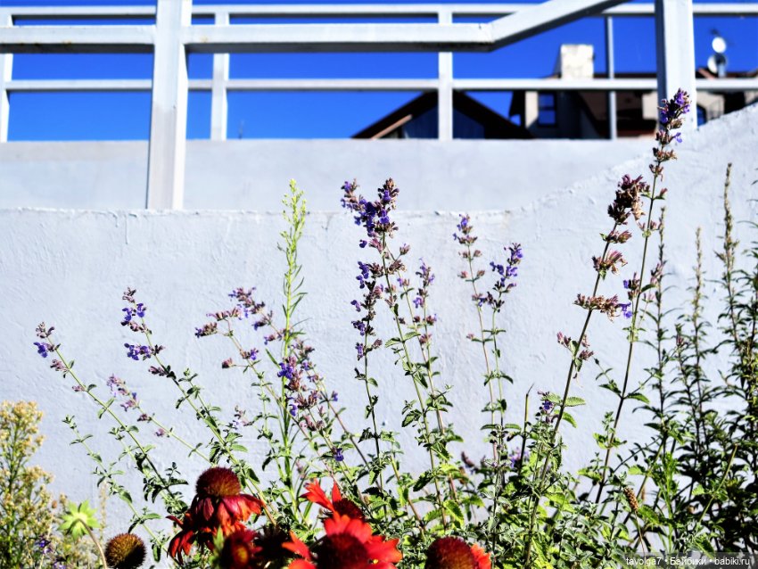 Зайка Мята и сентябрь — Авторские текстильные куклы: Вальдорфские (фото 10)