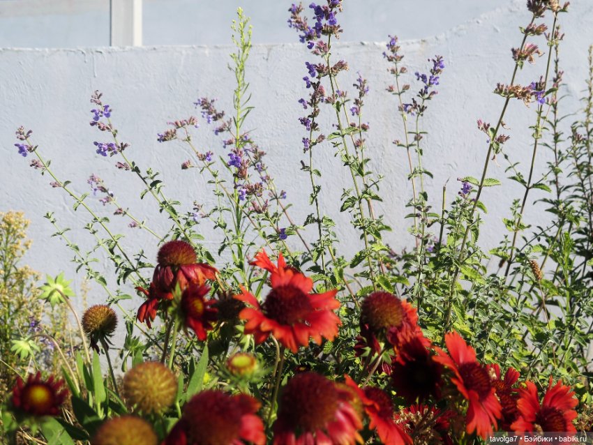 Зайка Мята и сентябрь — Авторские текстильные куклы: Вальдорфские