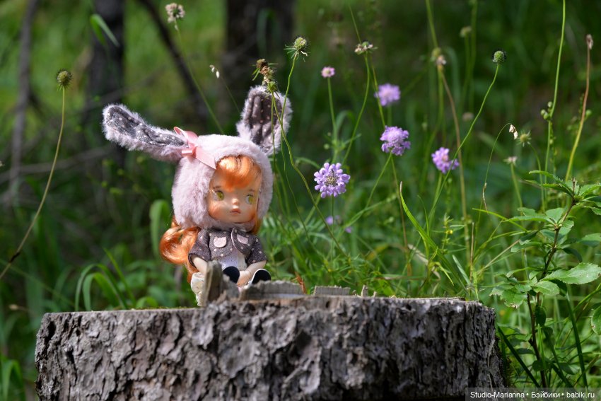 Зина и летние путешествия (фото 6)