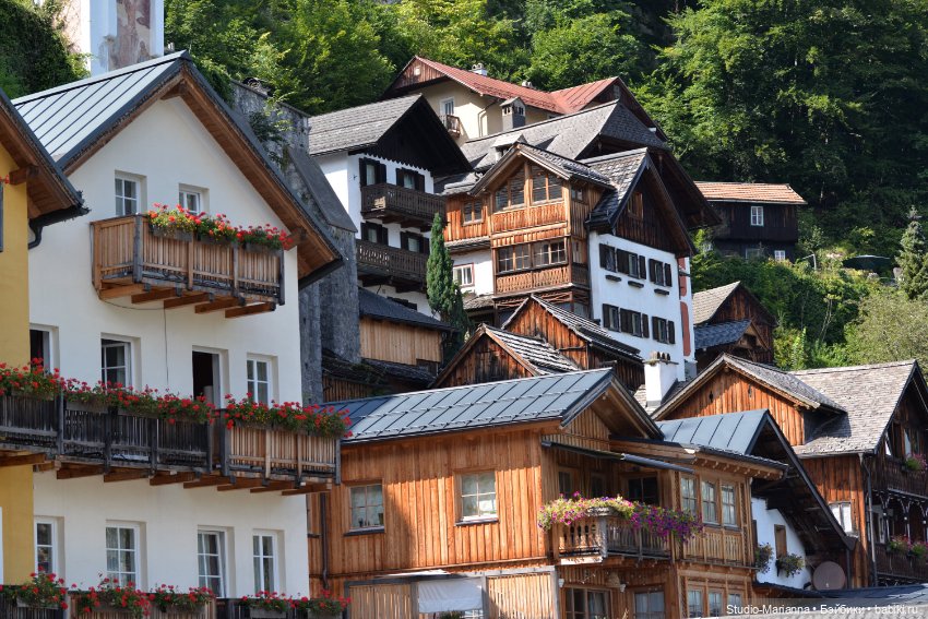 Зина и летние путешествия