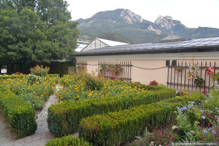 Зина и летние путешествия (фото 10)