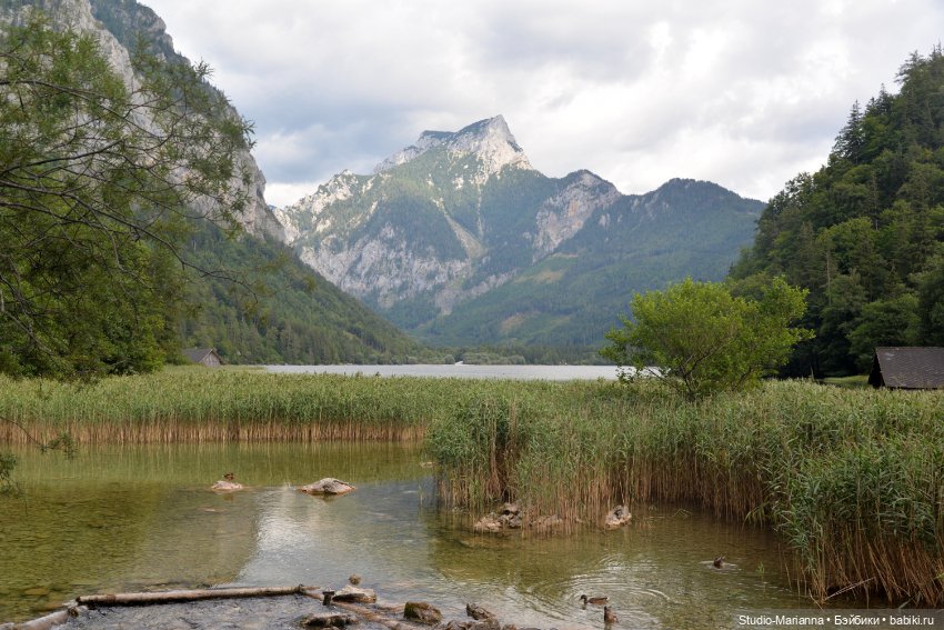 Зина и летние путешествия (фото 3)