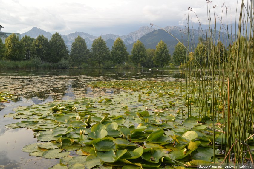 Зина и летние путешествия