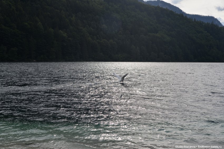 Зина и летние путешествия (фото 8)