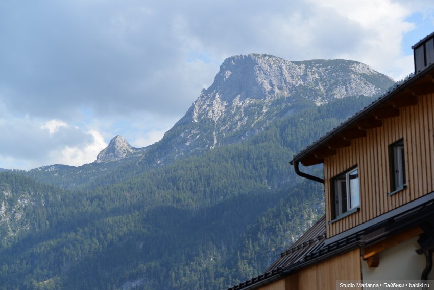 Зина и летние путешествия