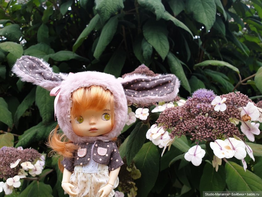 Зина и летние путешествия