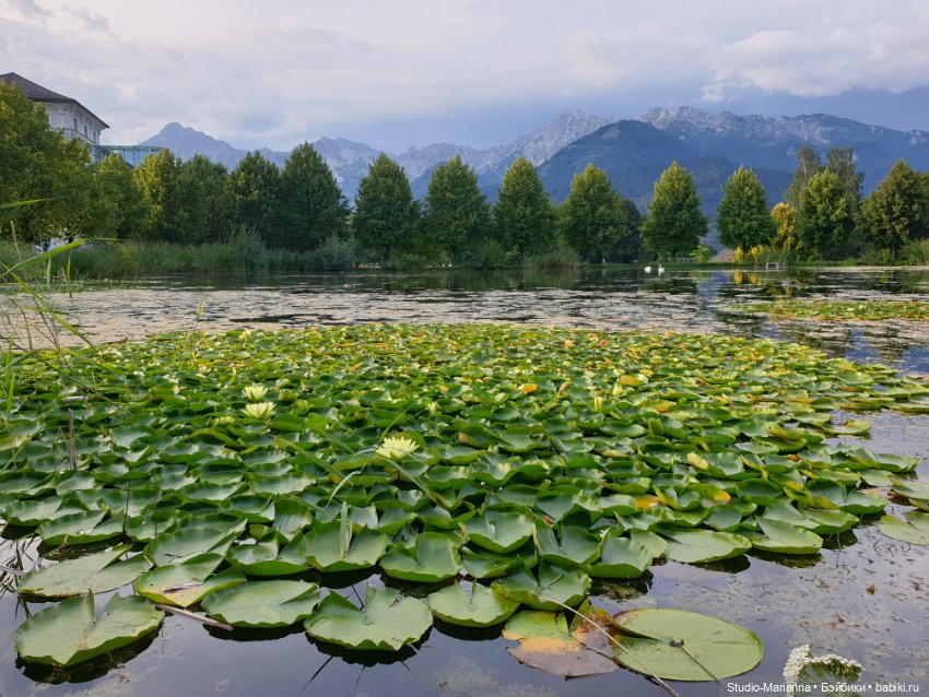Зина и летние путешествия
