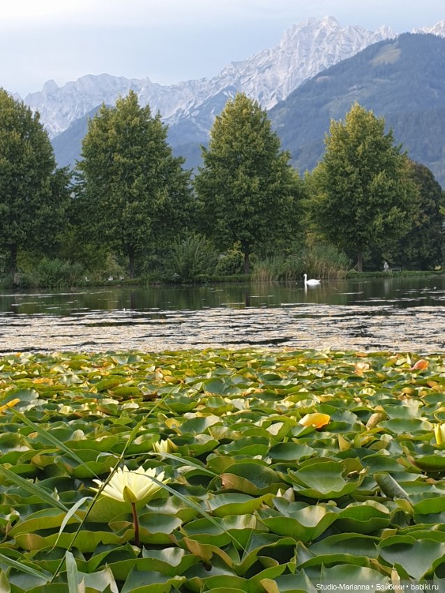 Зина и летние путешествия