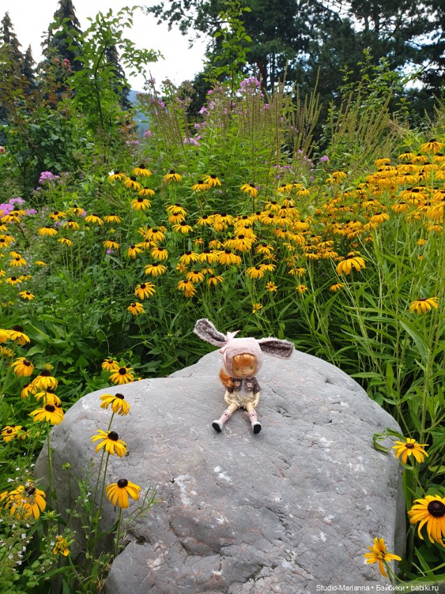 Зина и летние путешествия