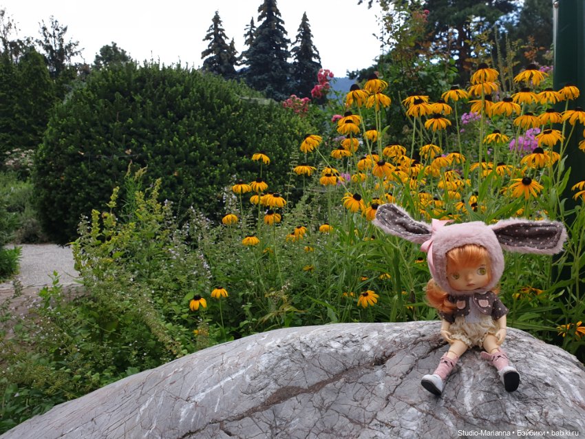 Зина и летние путешествия