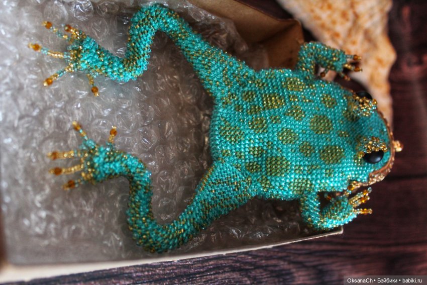 Новость дня — Другие хобби и увлечения: сад