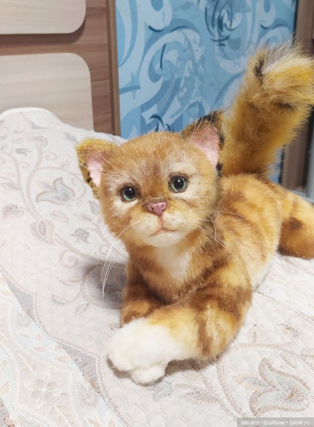 Рыжий, рыжий... полосатый (фото 6)