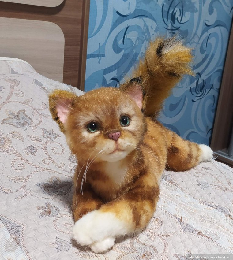 Рыжий, рыжий... полосатый (фото 5)