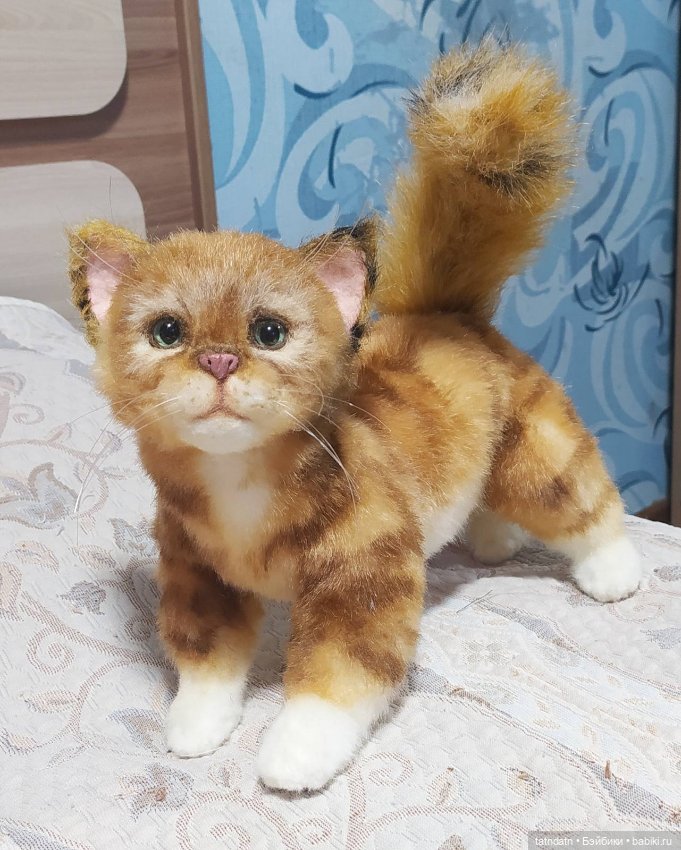 Рыжий, рыжий... полосатый (фото 9)