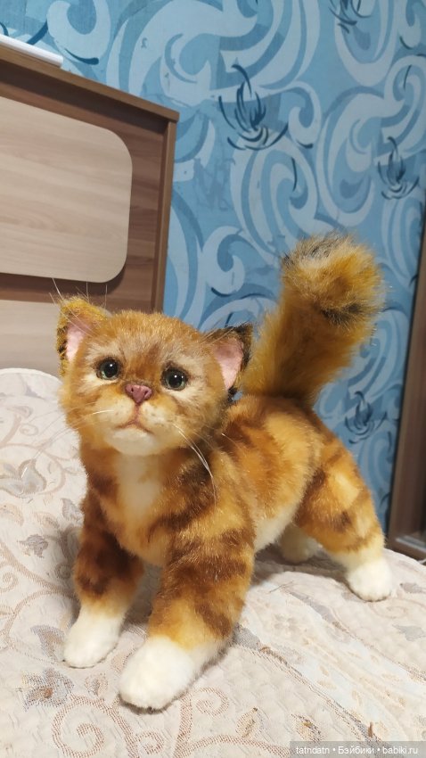 Рыжий, рыжий... полосатый (фото 7)