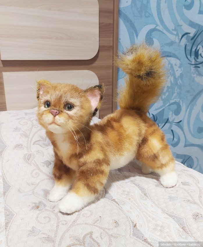 Рыжий, рыжий... полосатый (фото 8)