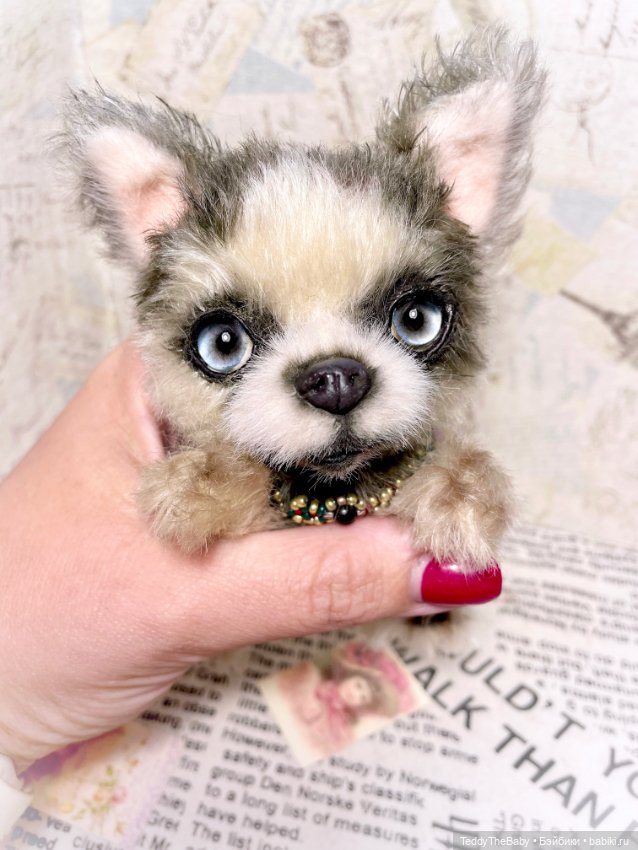 Alaska Kid🐶🐾 — Реалистичные игрушки и звери (Натюр): собаки