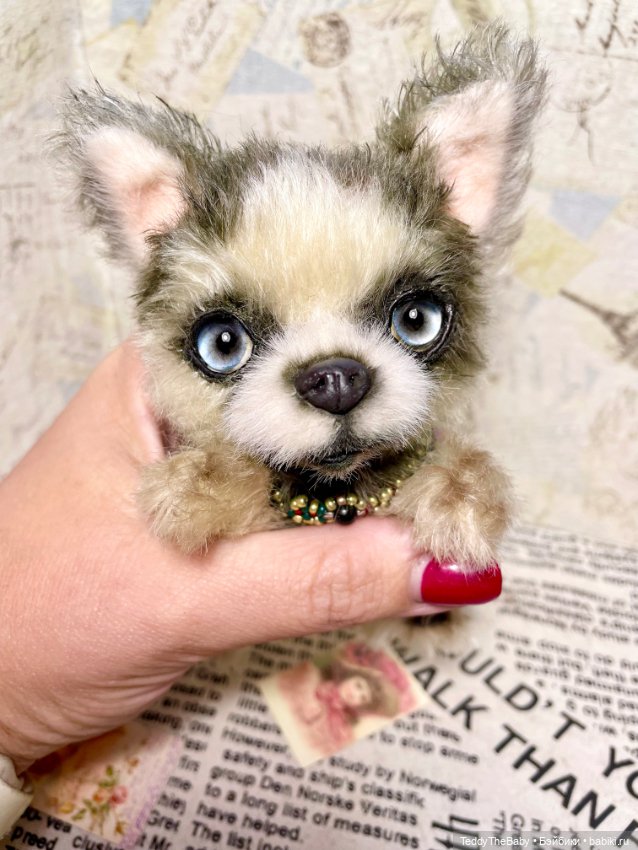 Alaska Kid🐶🐾 — Реалистичные игрушки и звери (Натюр): собаки (фото 2)