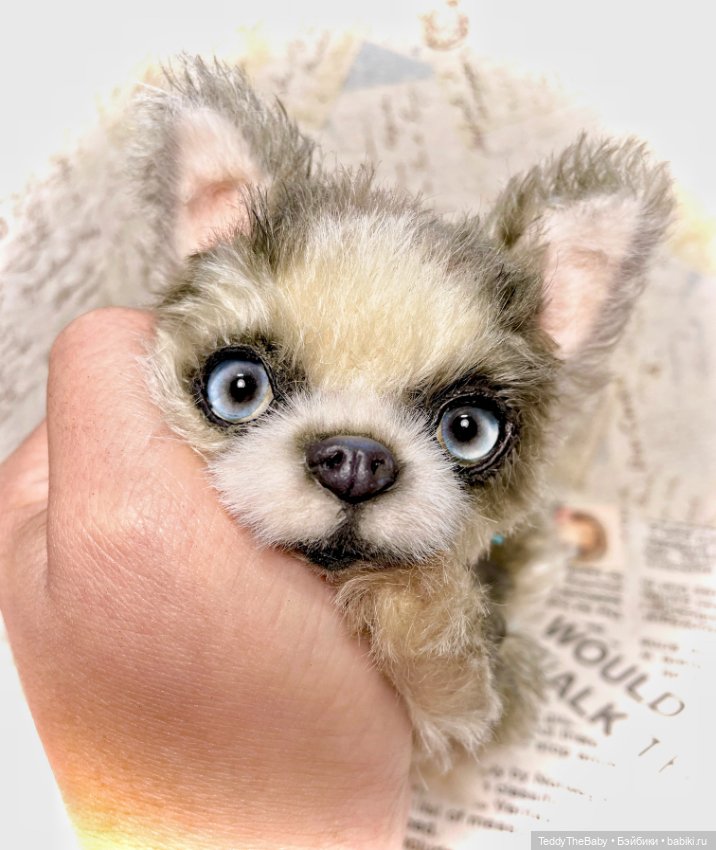 Alaska Kid🐶🐾 — Реалистичные игрушки и звери (Натюр): собаки
