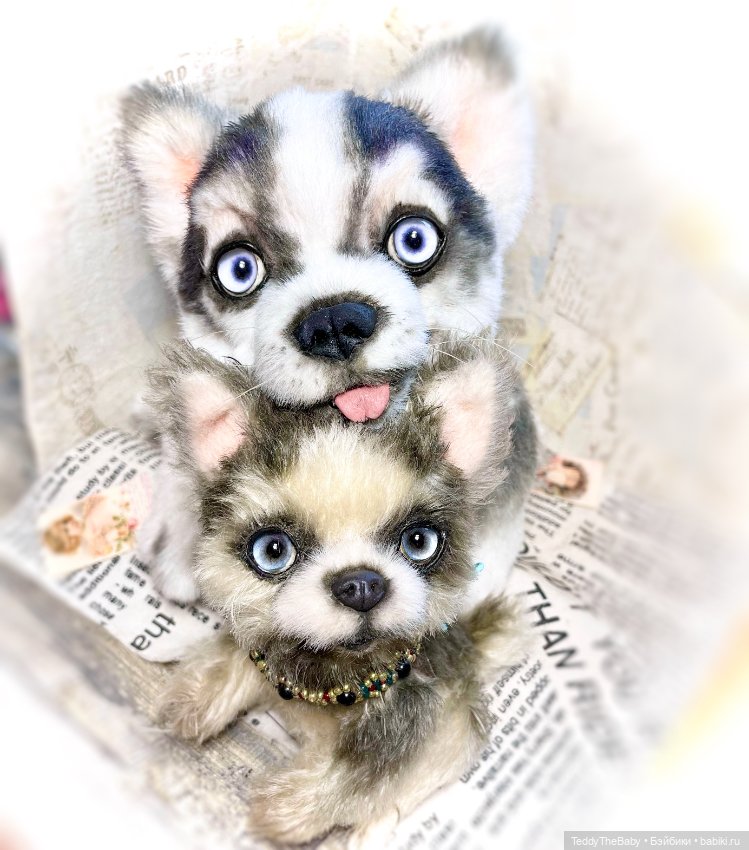 Alaska Kid🐶🐾 — Реалистичные игрушки и звери (Натюр): собаки