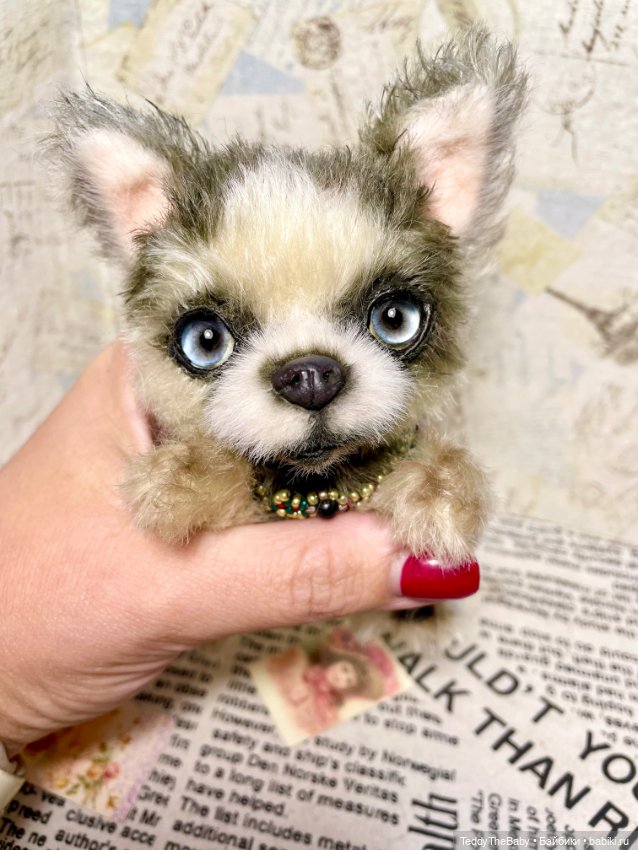 Alaska Kid🐶🐾 — Реалистичные игрушки и звери (Натюр): собаки