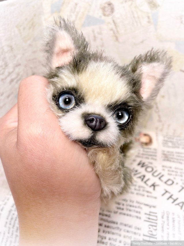 Alaska Kid🐶🐾 — Реалистичные игрушки и звери (Натюр): собаки