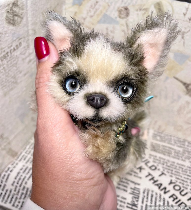 Alaska Kid🐶🐾 — Реалистичные игрушки и звери (Натюр): собаки (фото 4)