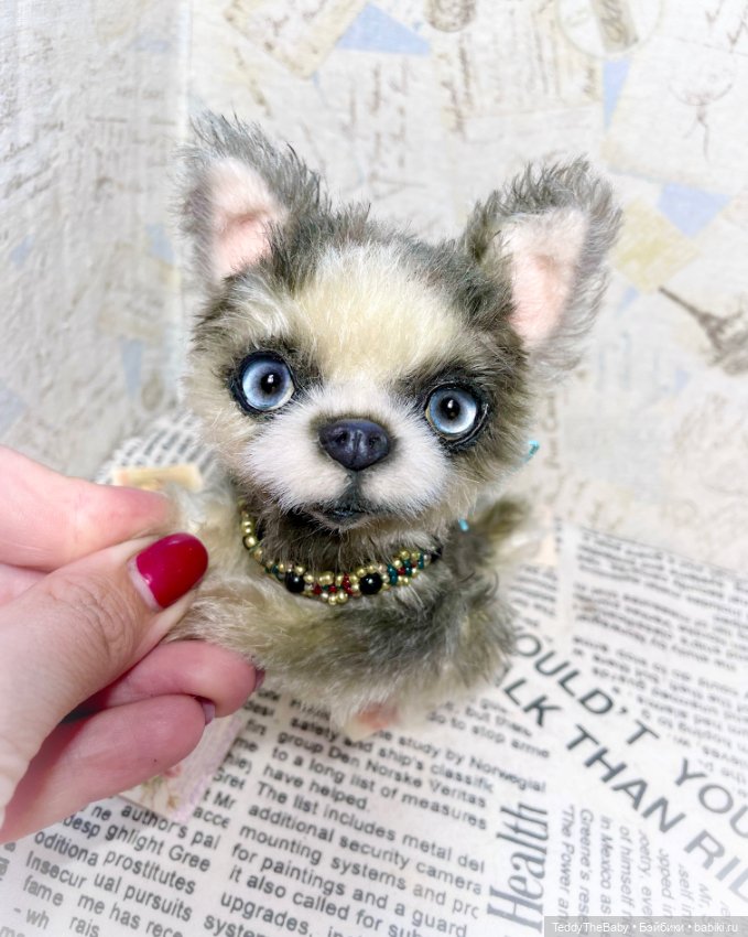 Alaska Kid🐶🐾 — Реалистичные игрушки и звери (Натюр): собаки
