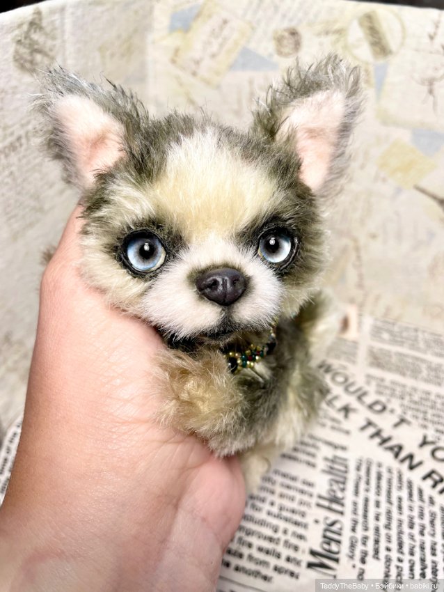 Alaska Kid🐶🐾 — Реалистичные игрушки и звери (Натюр): собаки (фото 8)