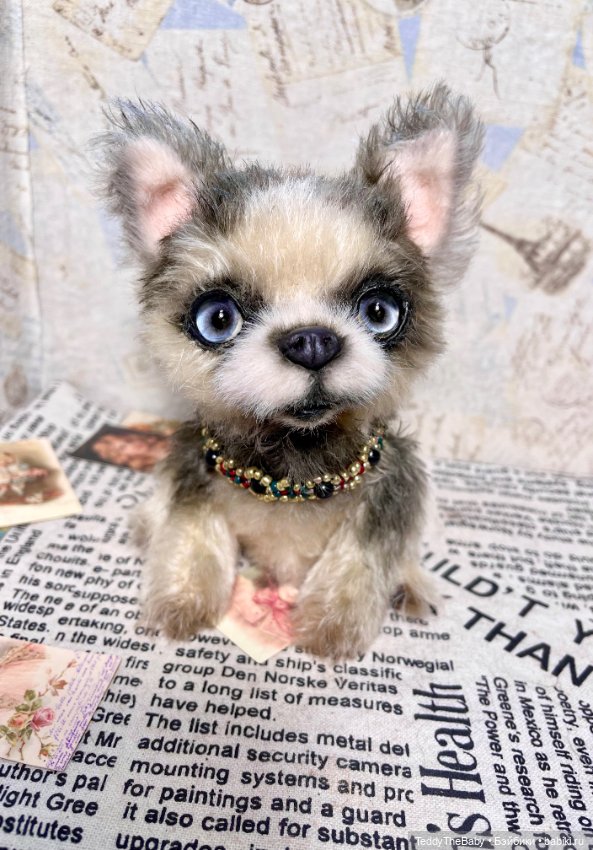Alaska Kid🐶🐾 — Реалистичные игрушки и звери (Натюр): собаки
