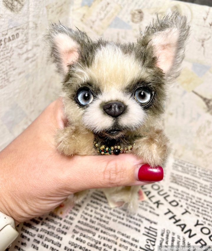 Alaska Kid🐶🐾 — Реалистичные игрушки и звери (Натюр): собаки (фото 3)