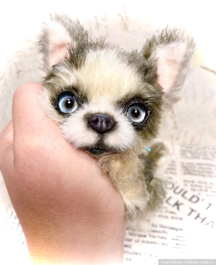 Alaska Kid🐶🐾 — Реалистичные игрушки и звери (Натюр): собаки