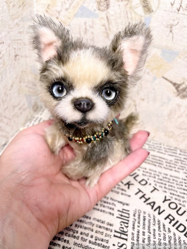 Alaska Kid🐶🐾 — Реалистичные игрушки и звери (Натюр): собаки