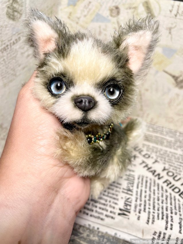 Alaska Kid🐶🐾 — Реалистичные игрушки и звери (Натюр): собаки (фото 6)