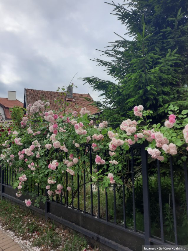 Лето 2022г. Музей Курортной моды в г. Зеленоградск, Калининградской области