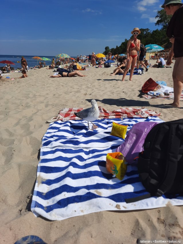 Лето 2022г. Музей Курортной моды в г. Зеленоградск, Калининградской области