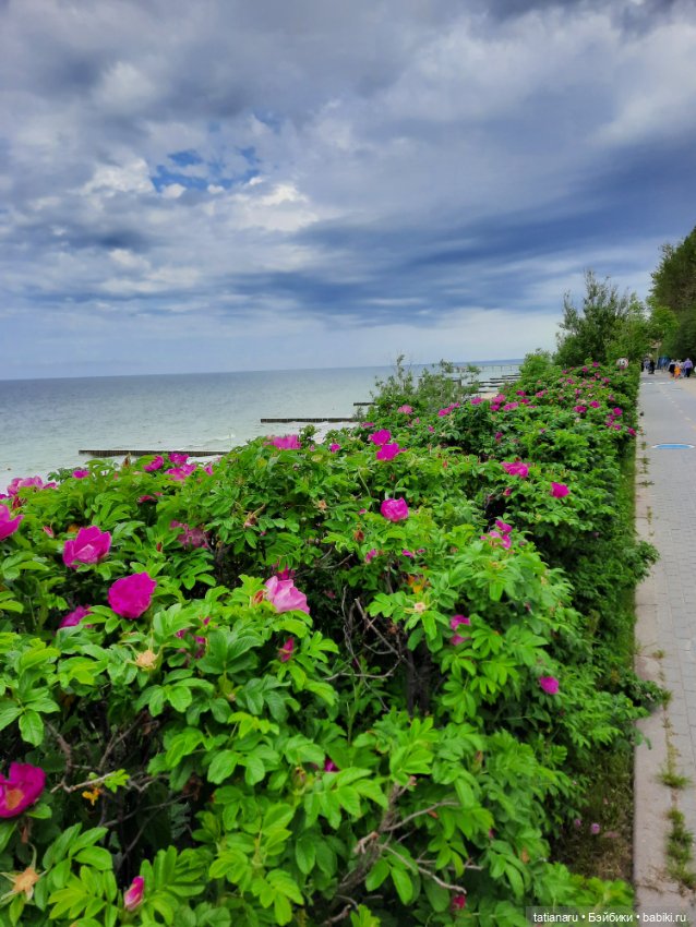 Лето 2022г. Музей Курортной моды в г. Зеленоградск, Калининградской области