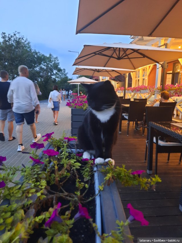 Лето 2022г. Музей Курортной моды в г. Зеленоградск, Калининградской области