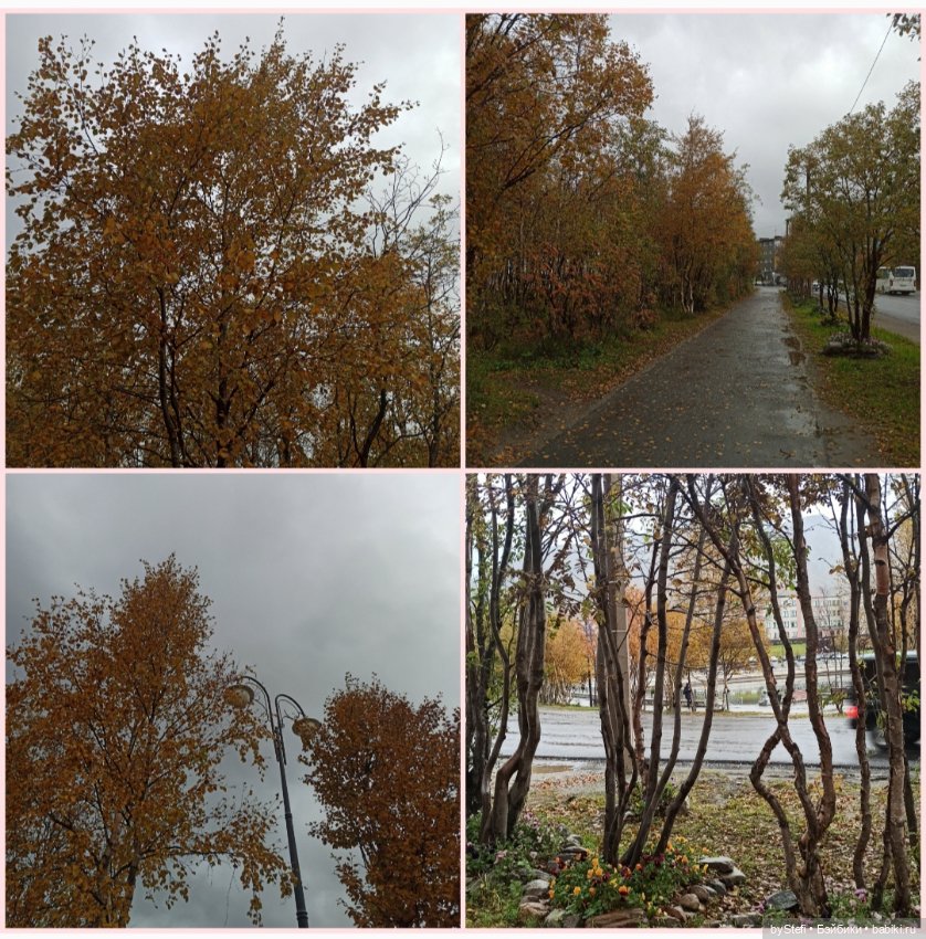 Приглашаю прогуляться по осеннему городу (фото 8)